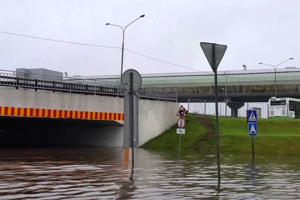 О сайте кракен