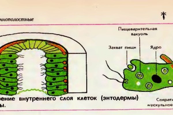 Omg onion официальная ссылка