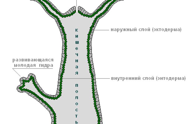 Как загрузить фото в мегу через тор